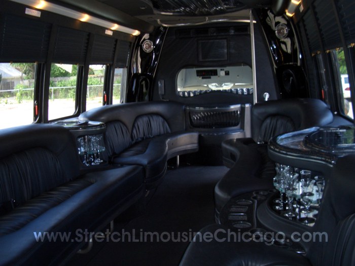 24-Passenger Ford F550 Luxury Bus